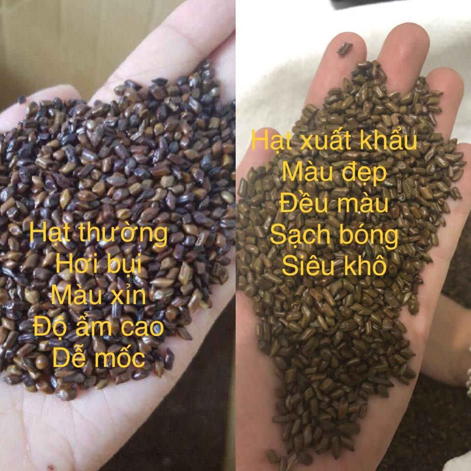 Combo đồ chơi xúc cát hạt muồng cho bé