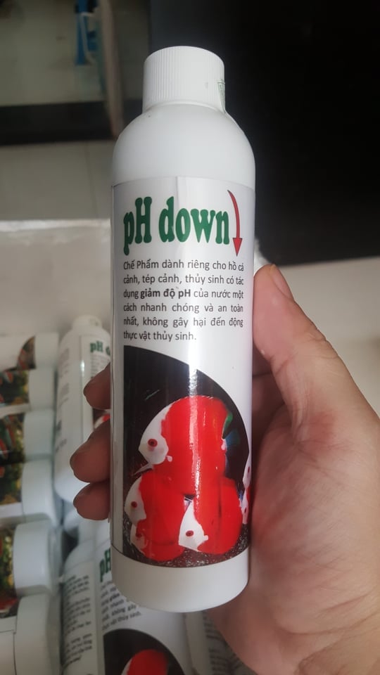 Dung Dịch pH Down | Dung Dịch Giảm Độ pH, ổn định Cho Hồ Cá Thủy Sinh