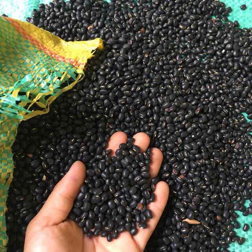 Đậu đen lòng xanh 1kg