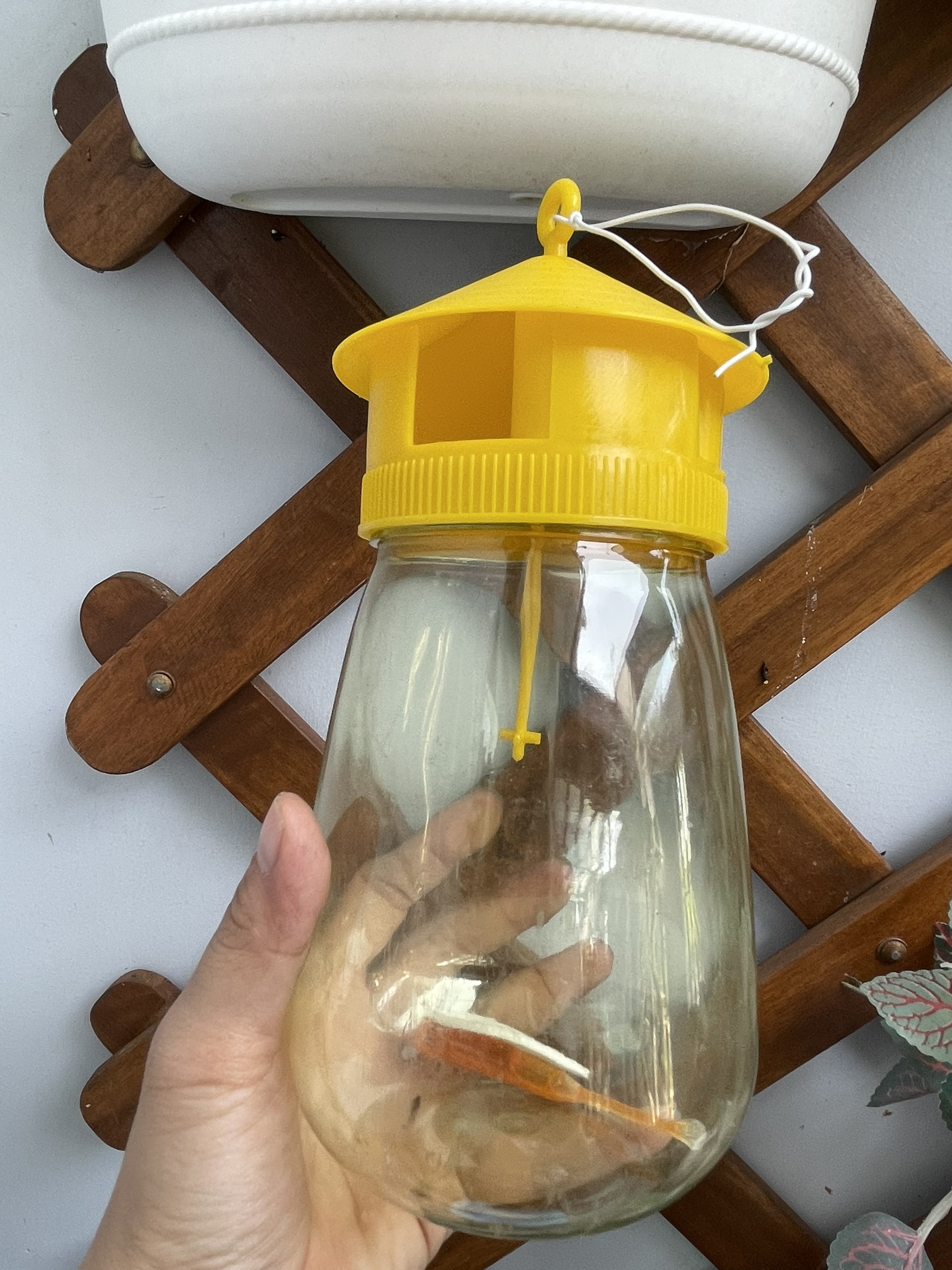 Bộ sản phẩm bình bẫy ruồi vàng có kèm tuýt dẫn dụ