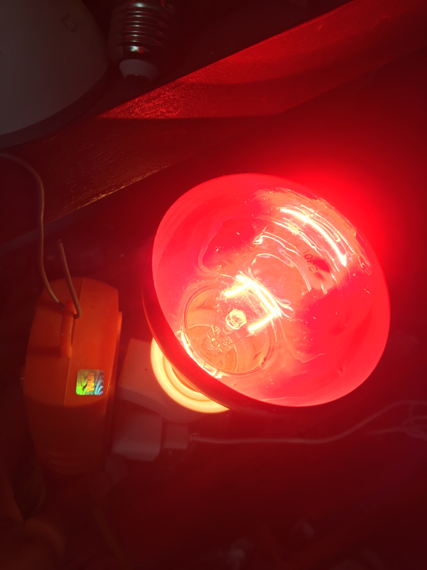 Bóng đèn úm hồng ngoại 75w