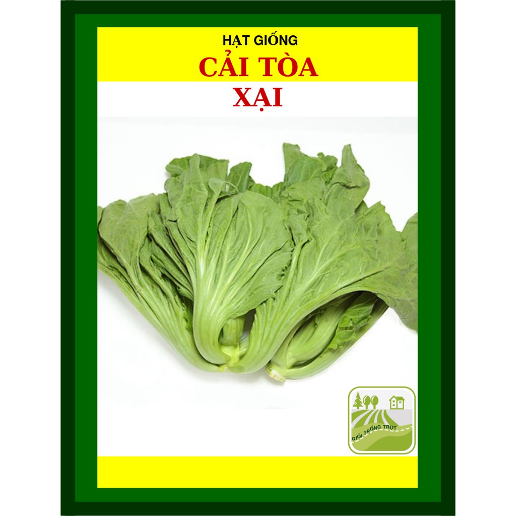 20G - Hạt Giống Cải Tòa Xại (Cải Bẹ Dưa)
