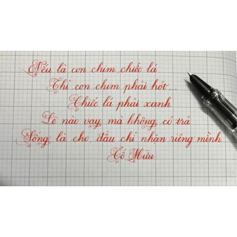 Bút máy thanh đậm LeTa 368 (ngòi kim tinh lá tre)..