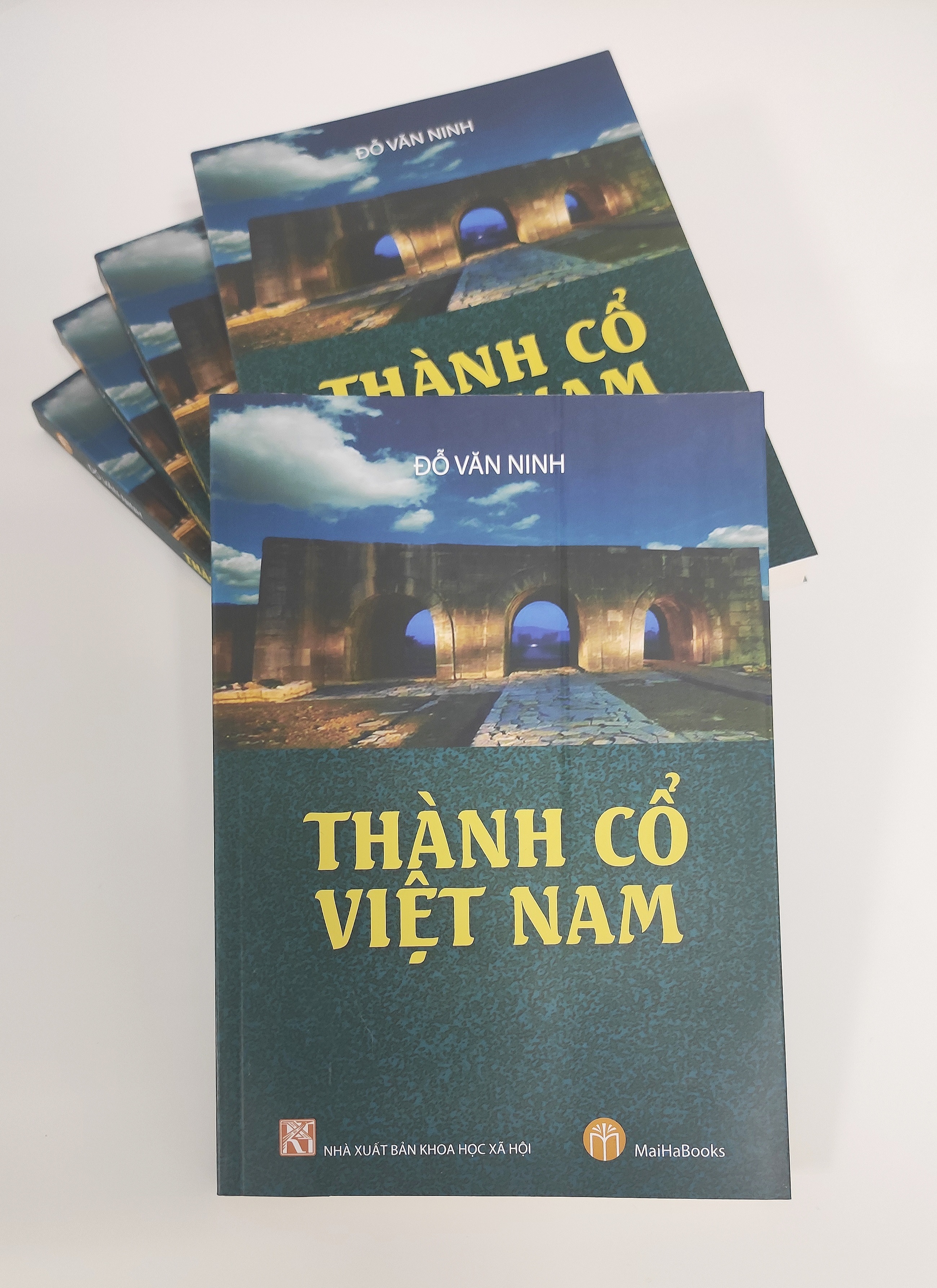 Thành cổ Việt Nam