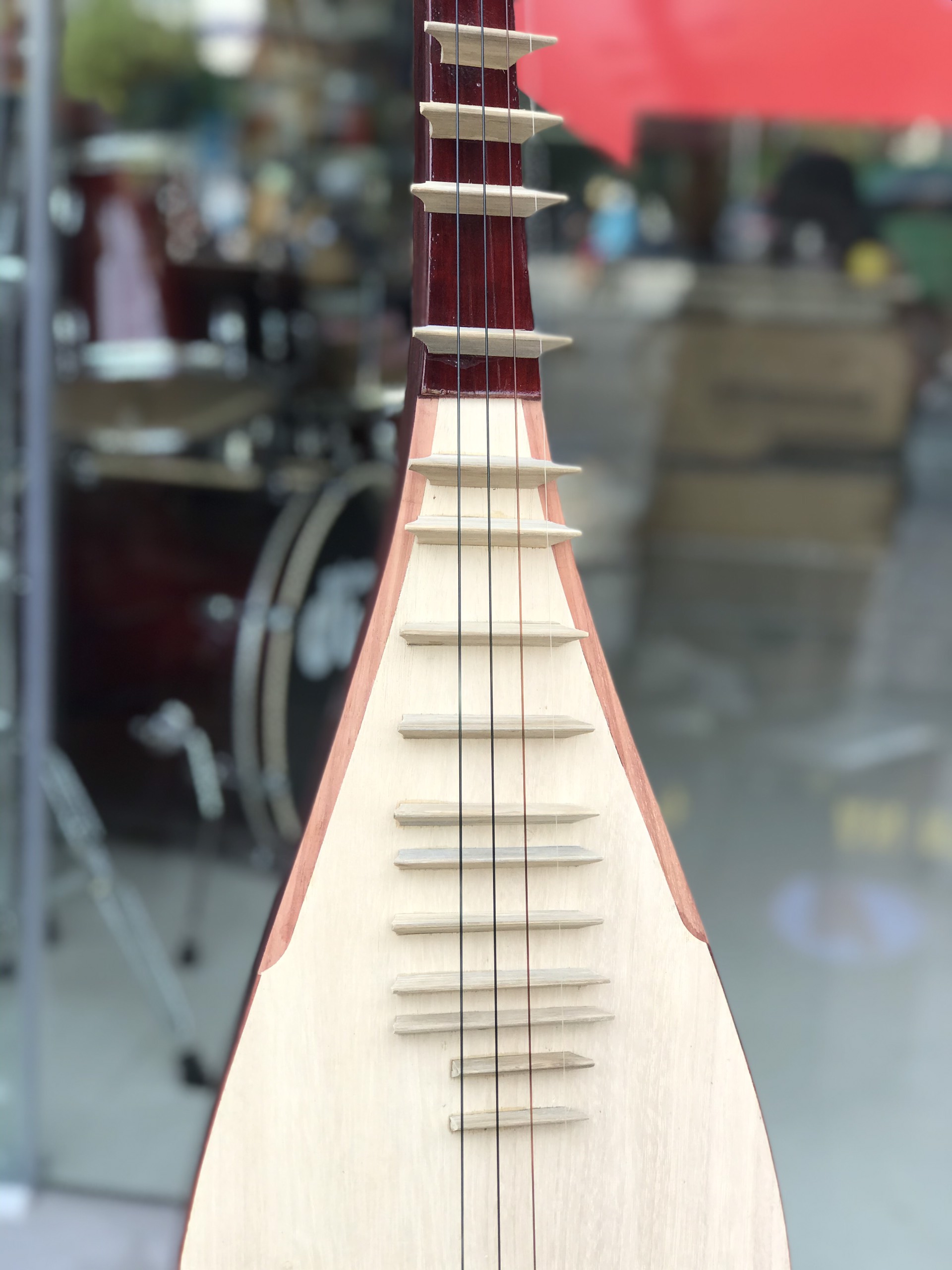 Đàn tỳ bà Việt Nam