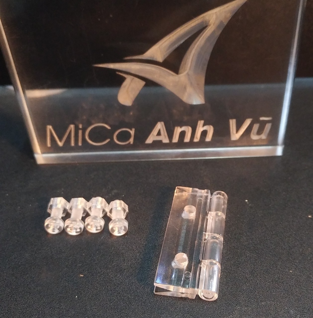 Bản lề nhựa mica trong bắt ốc