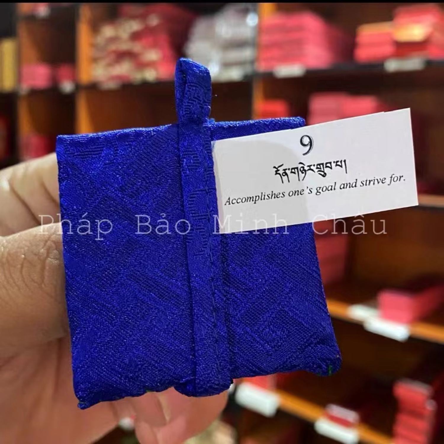 [PBMC] Linh phù Tu viện Shechen Nepal