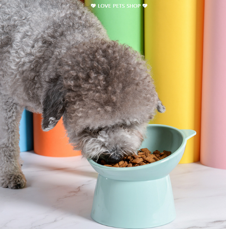 Chén ăn cho Chó Mèo chống gù lưng bằng nhựa PP - Love Pets Shop