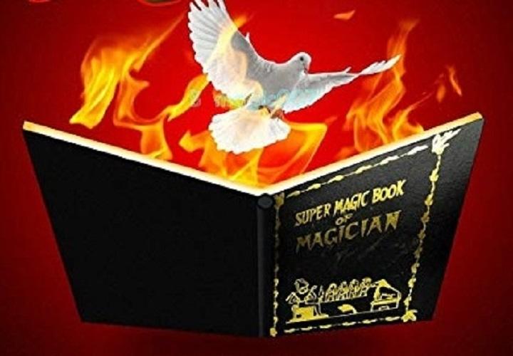 [HCM]Ảo thuật Sách lửa ra chim