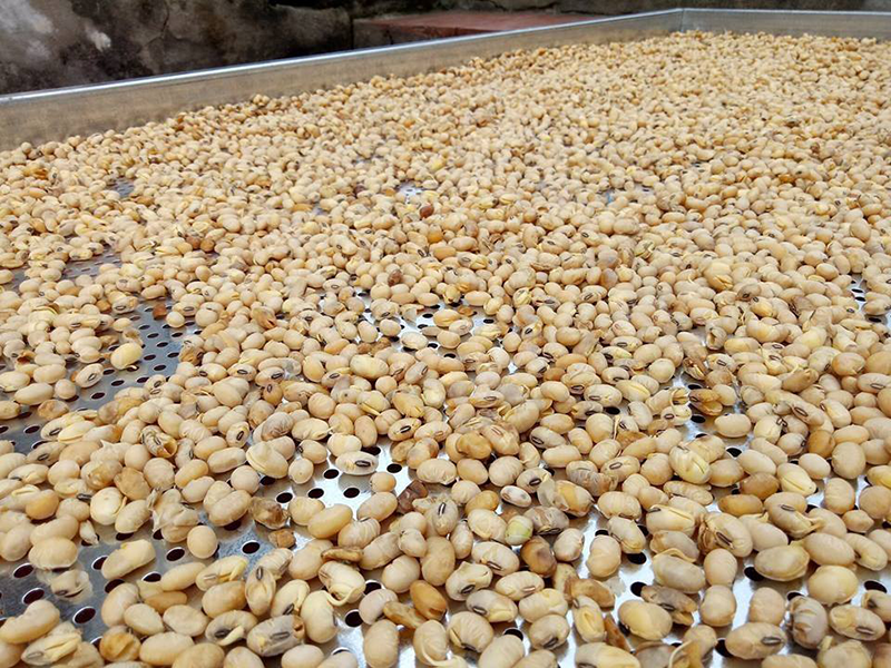 500g đậu nành ( đỗ tương) sấy giòn
