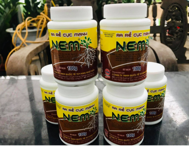 Ra Rễ Cực Mạnh N3M hoặc Nem (Hộp 100Gr)