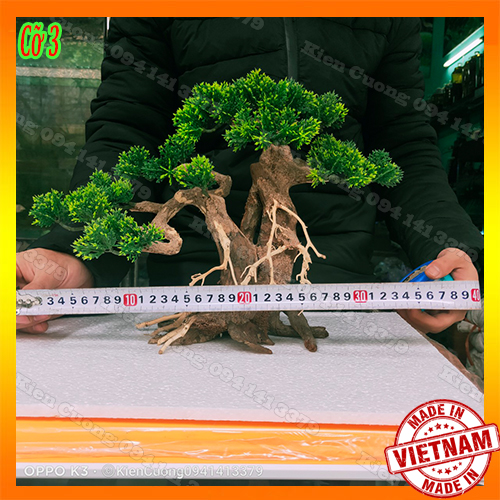 Cây gỗ lũa thủy sinh dùng cho bể cá cảnh, gỗ lúa cao cấp (Mẫu 12)