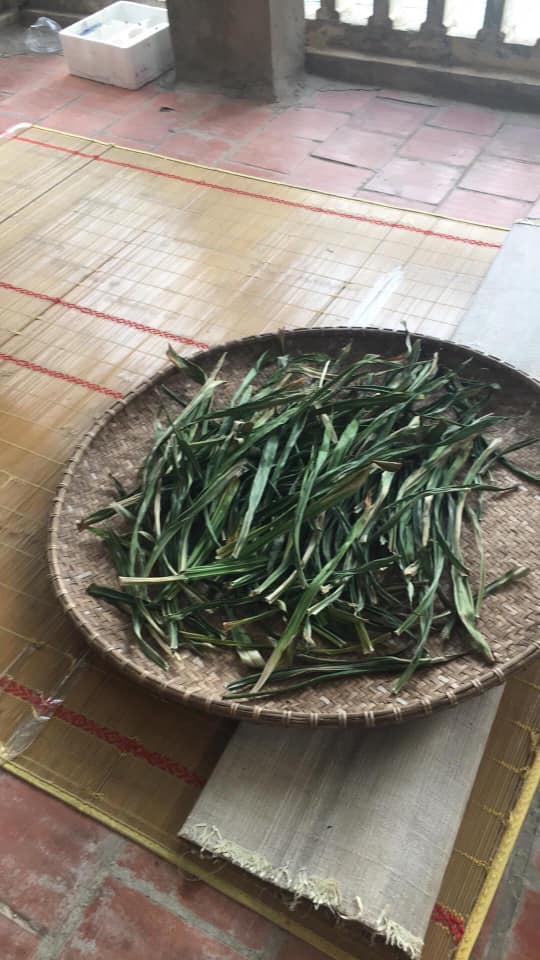 Trà Bí Đao, La Hán, Thục Địa, Lá Nếp, Đường Phèn