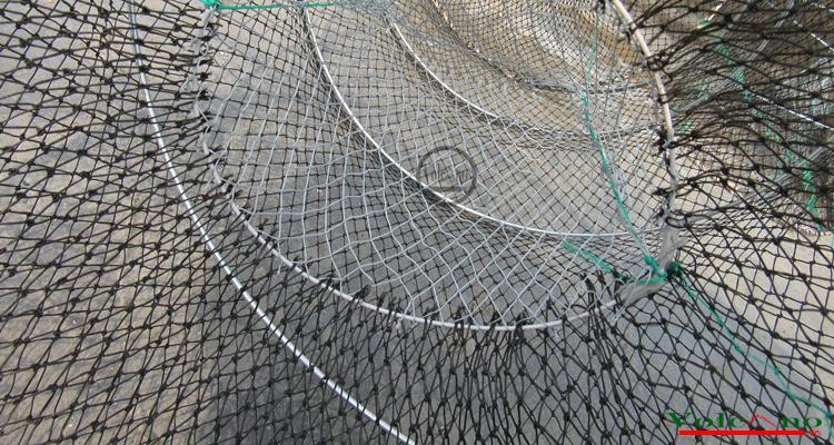 Lồng bẫy tôm, cua, cá hai đầu