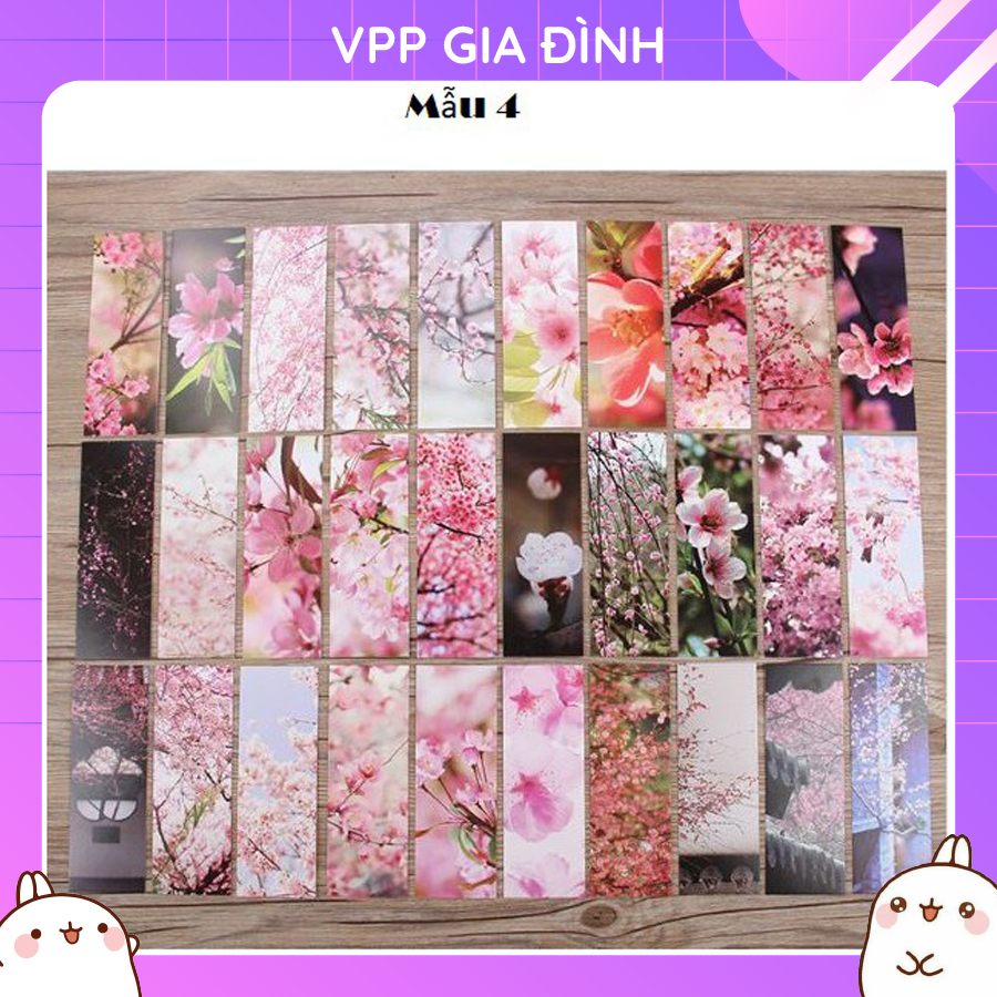 Hộp 30 Đánh Dấu Trang Sách Bookmark Cổ Phong