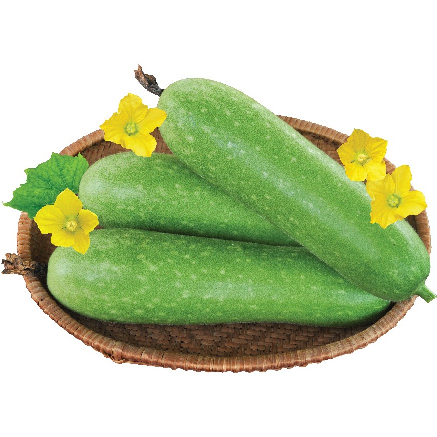Bí Xanh Đức Trọng – Lâm Đồng ( 500G/1KG )