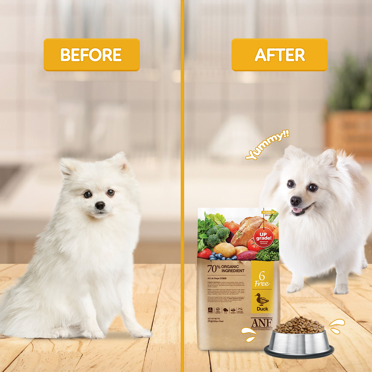 Free ANF 6 dog food 2kg