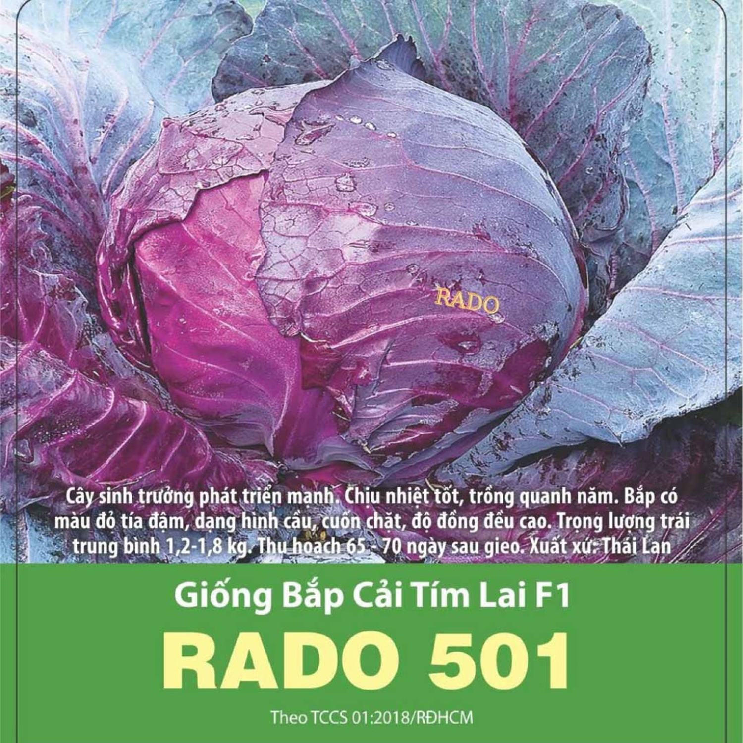 Hạt giống bắp cải tím, gói 0,5 gram
