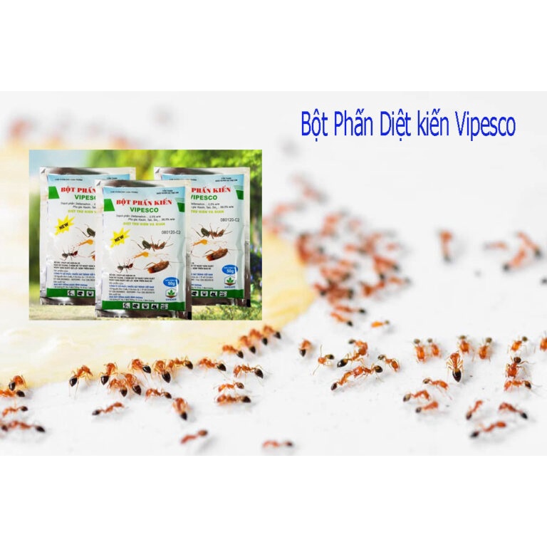 SET 3 GÓI Bột phấn kiến Vipesco 50gram là chế phẩm diệt trừ kiến và gián tận gốc dạng bột màu trắng