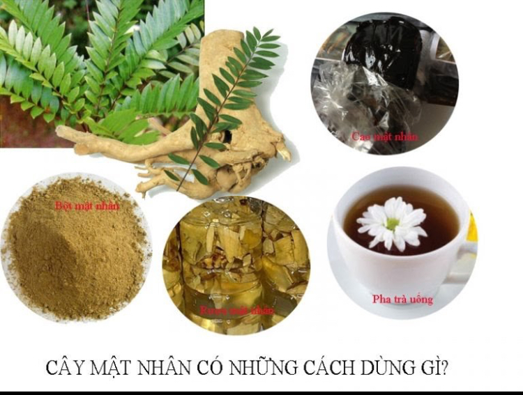Rễ Mật Nhân Thái Lát Khô 1kg -ĐSR