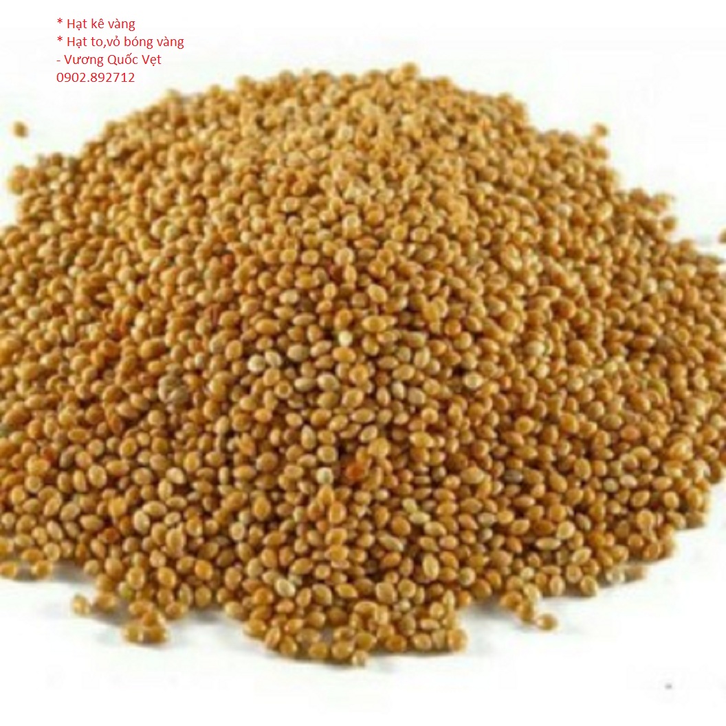 Hạt kê vàng gói 1kg