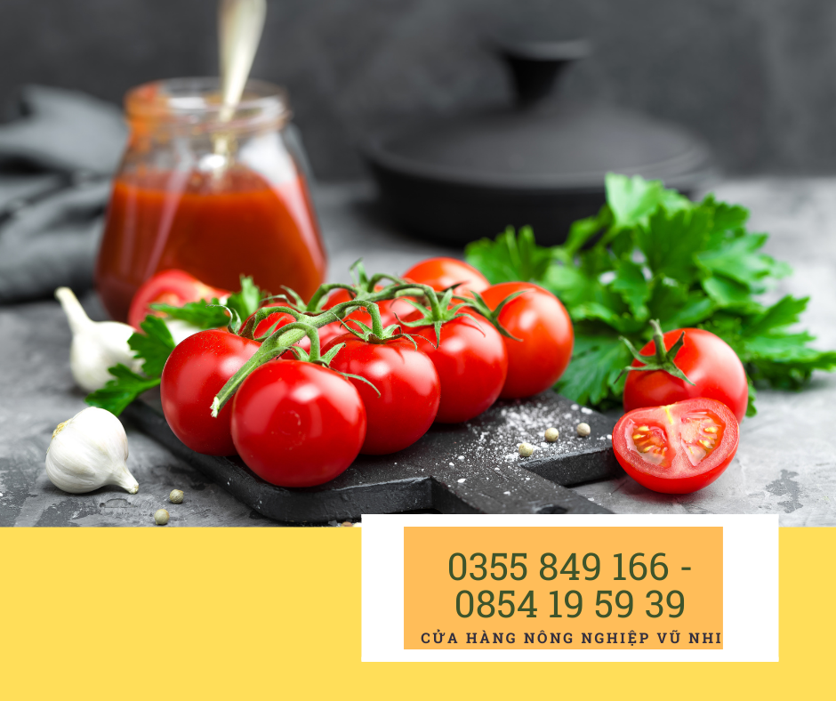 Hạt giống cà chua bi đỏ F1