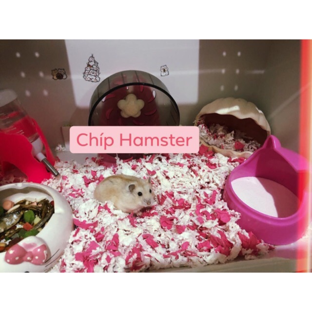 GIẤY LÓT CHUỒNG VỆ SINH HAMSTER