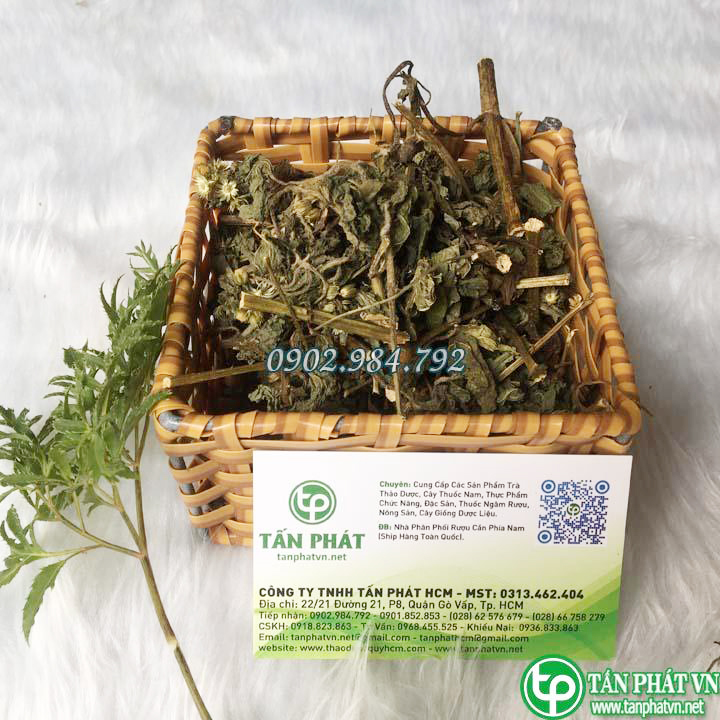 [New Arrivals] Dried Stinkweed Plant 500g (Fragrant, Clean) - Tan Phat Herbs