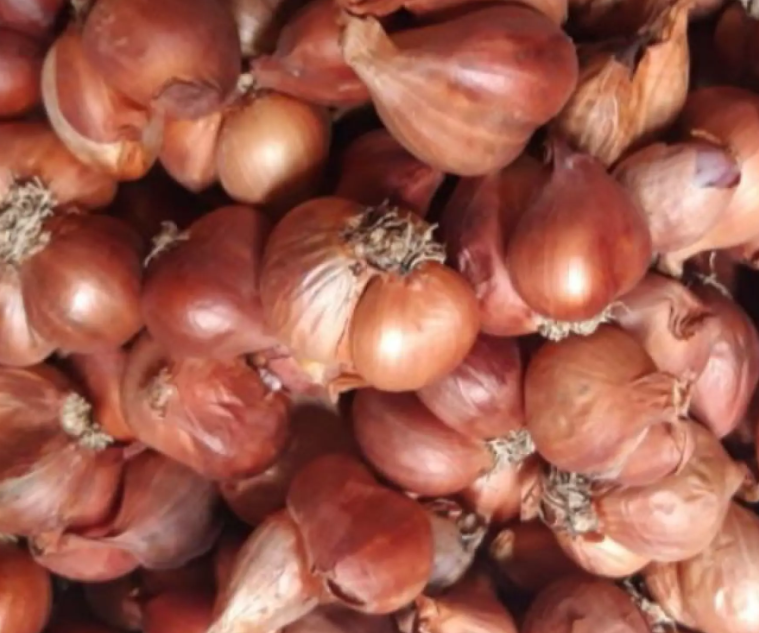 Hành ta ngon, củ mẩy 100g