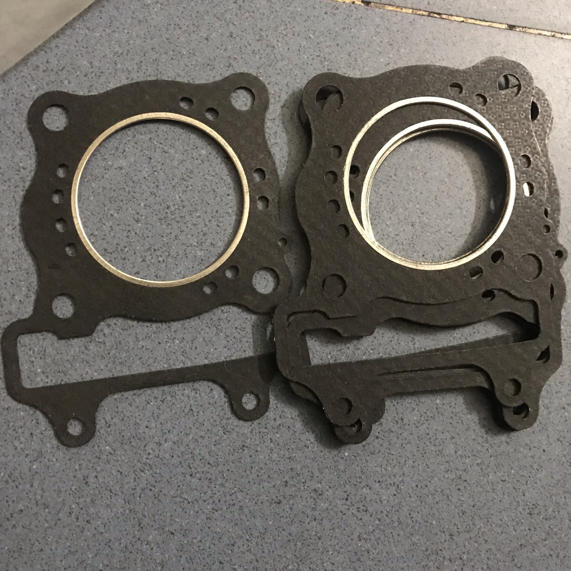 Ron quy lát xe Sh Ý/ Dylan/ Ps