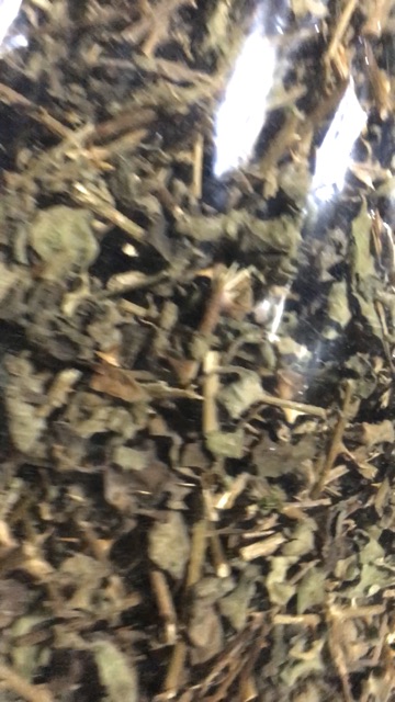 Cao cà gai leo quảng trị