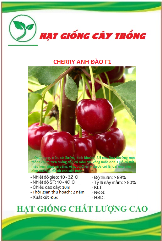 Hạt giống cây cherry f1 ct296 - gói 10 hạt