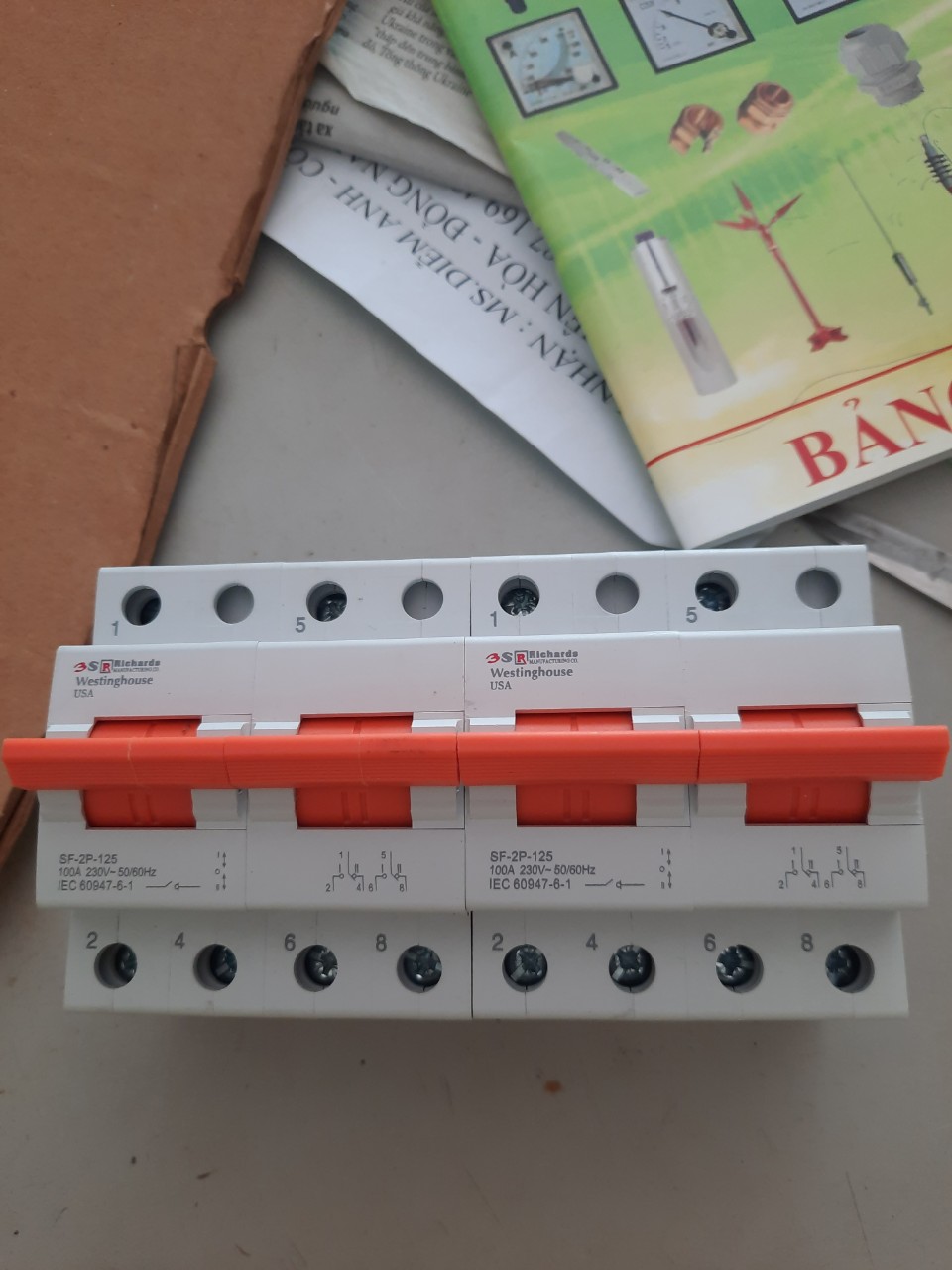 CẦU DAO ĐẢO CHIỀU MINI 2P-100A RICHARDS-MỸ