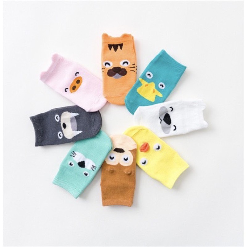 Combo 5 đôi tất kids socks cho bé từ 6 tháng-4 tuổi