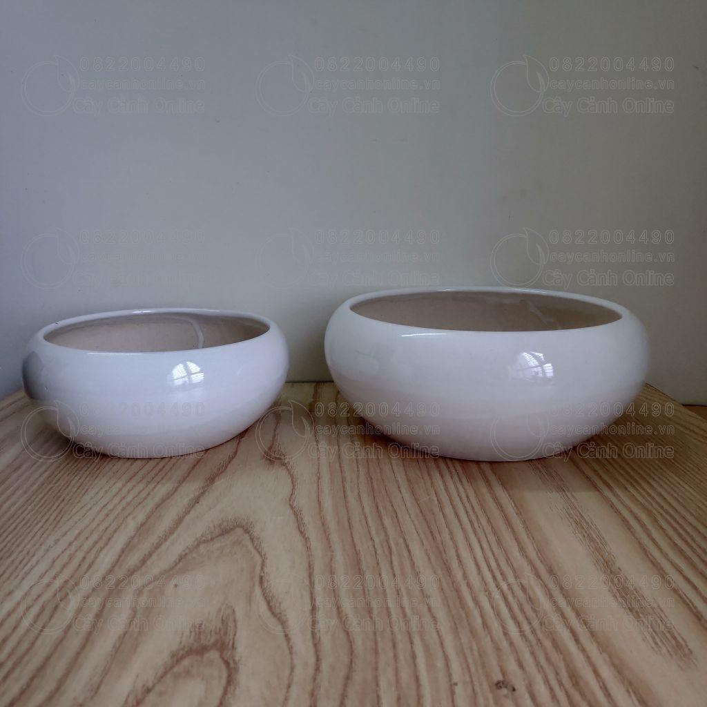 Đôi chậu ang cong - Chậu mini - Chậu trồng cây để bàn cây mini cây phong thủy cây nội thất