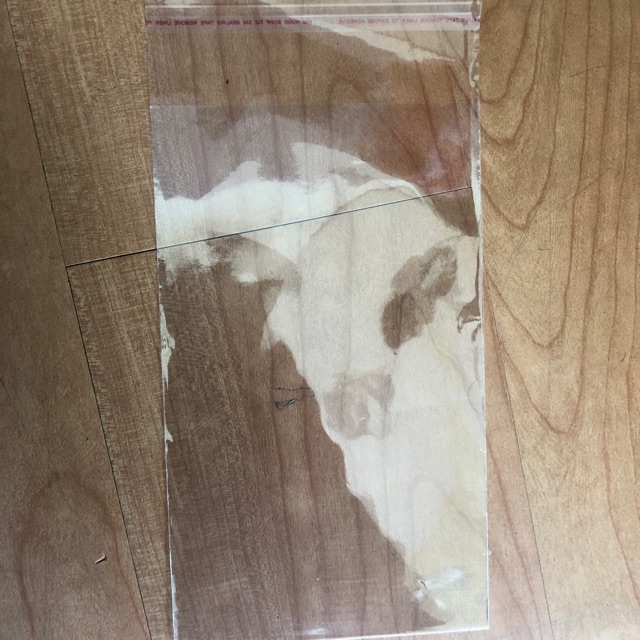 Túi Kiếng Nilong Dán Miệng 12X20Cm Đựng Khẩu Trang