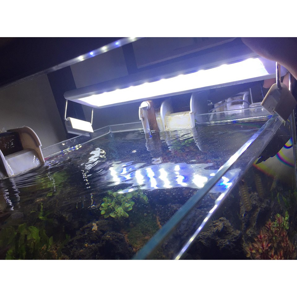 [Giảm giá sốc] HAC- Đèn led bể cá 40cm- Đèn led bể cá thủy sinh dành cho bể 40-50cm