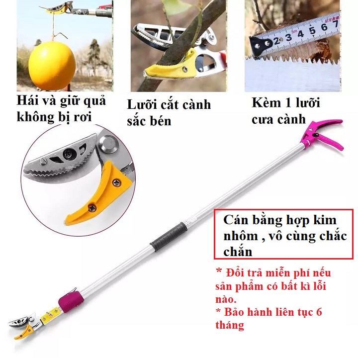 ( Kèm lưỡi cưa ) Kéo cắt cành hái quả