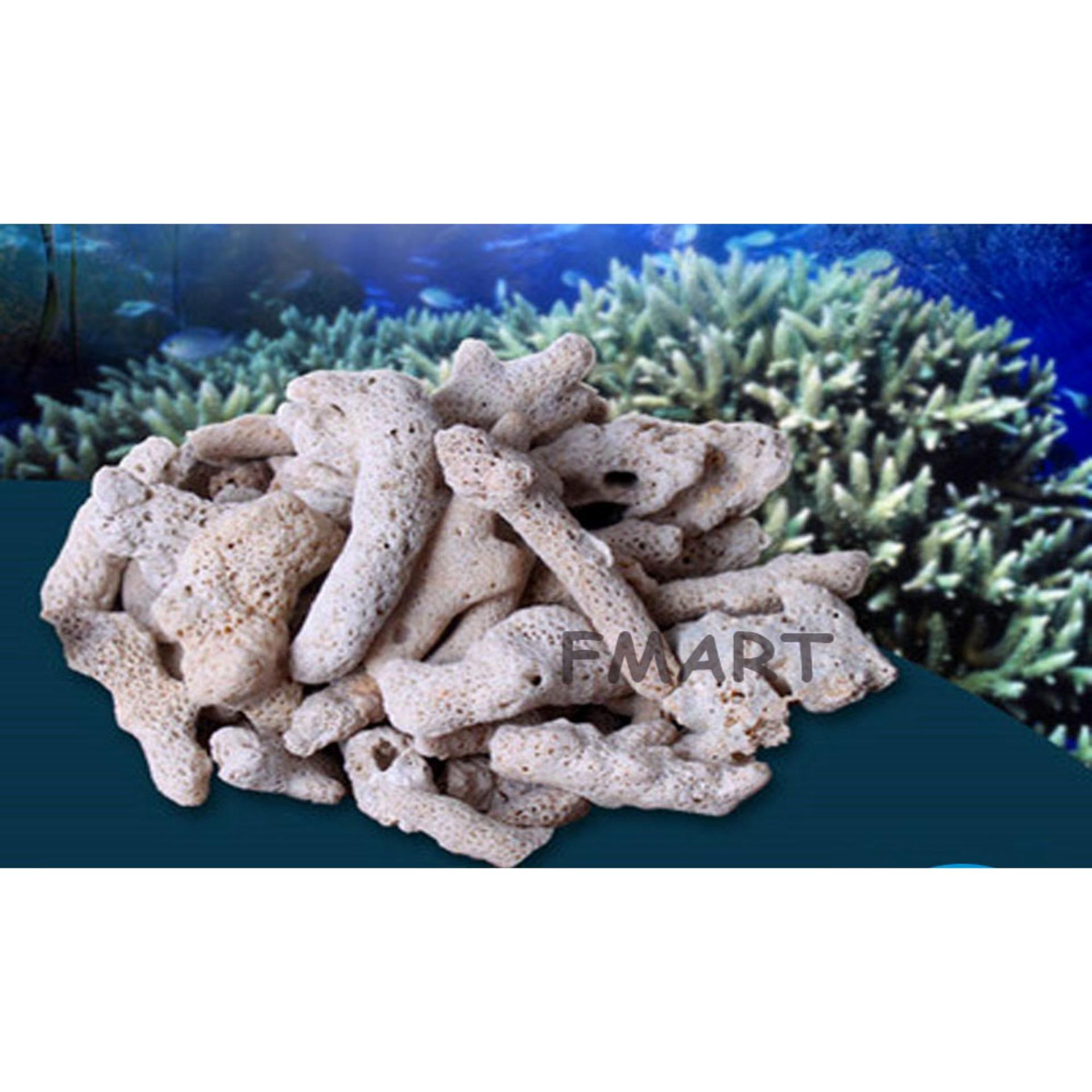San hô vật liệu lọc, trang trí bể cá, hồ thủy sinh (túi 200gr)