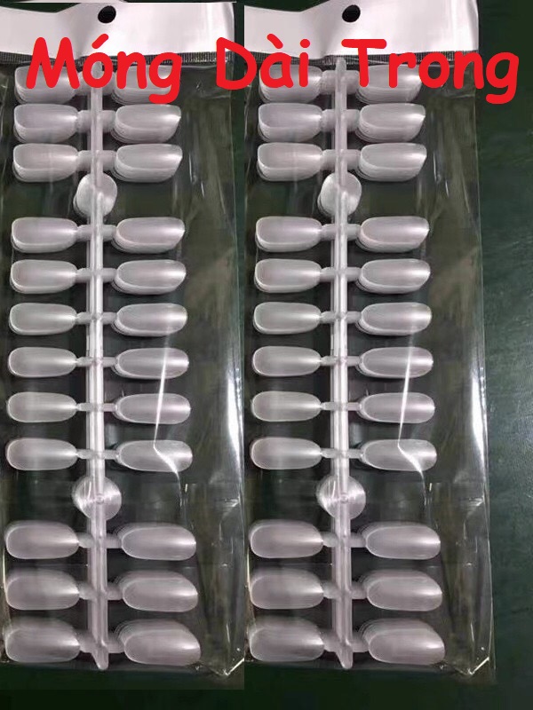 Móng tập sơn, Móng Mẫu Tập Vẽ, móng bẻ tròn luyện vẽ trưng bày móng