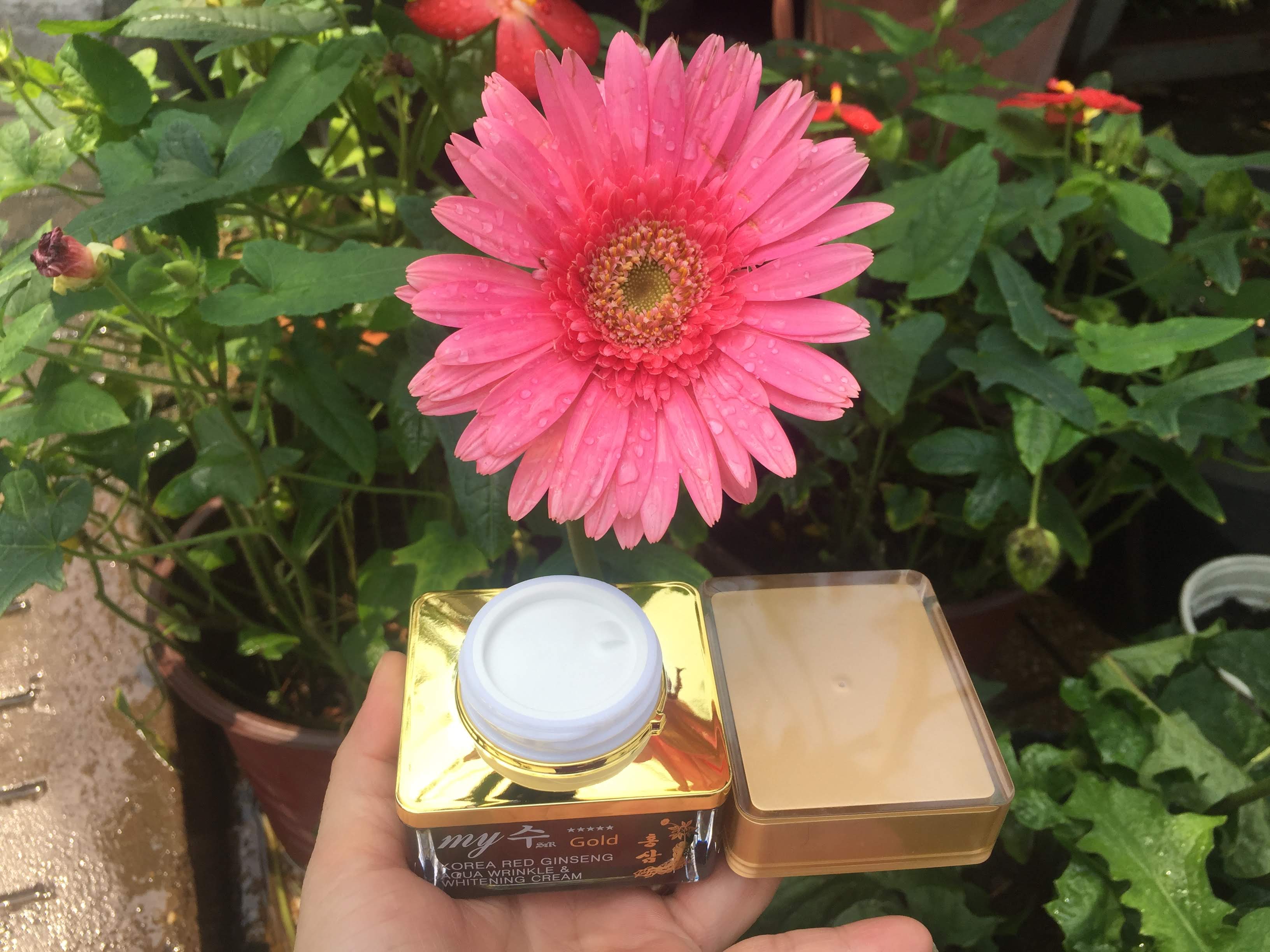Kem sâm Hàn Quốc My Gold trắng da 50 ml