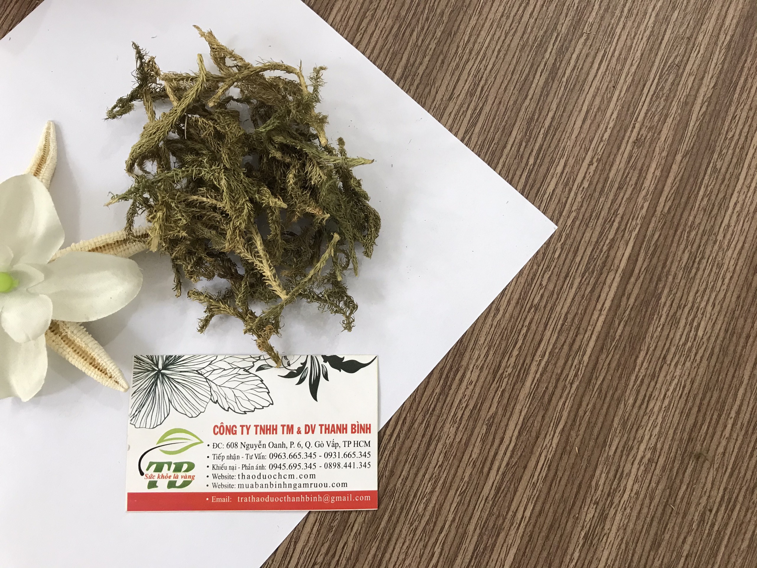 Cây Thông Đất Khô 100G Loại Đặc Biệt - Thảo Dược Thanh Bình