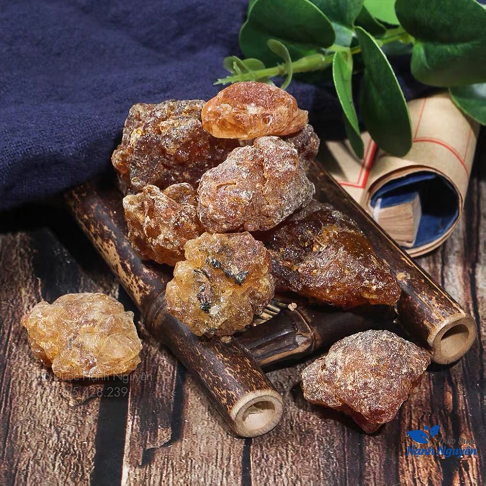 Một dược 100g (Mộc dược) - Thảo Dược Hạnh Nguyên