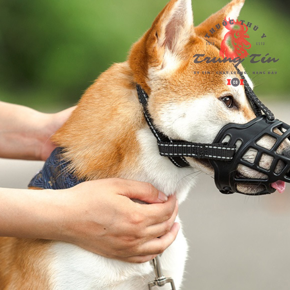 Khớp mõm chó , rọ mõm (chất liệu nhựa dẻo dể chịu)