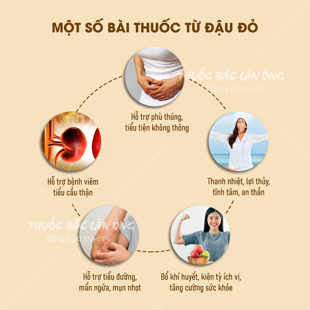Đậu đỏ hạt nhỏ 1kg, đỗ đỏ, hạt đều, bở, dùng nấu chè, nấu cháo, nấu sữa hạt, làm bánh