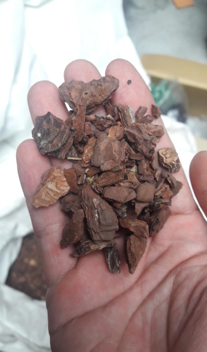 [HÀNG ĐẸP] Vỏ thông trồng lan loại đẹp, đều, không vụn 1kg