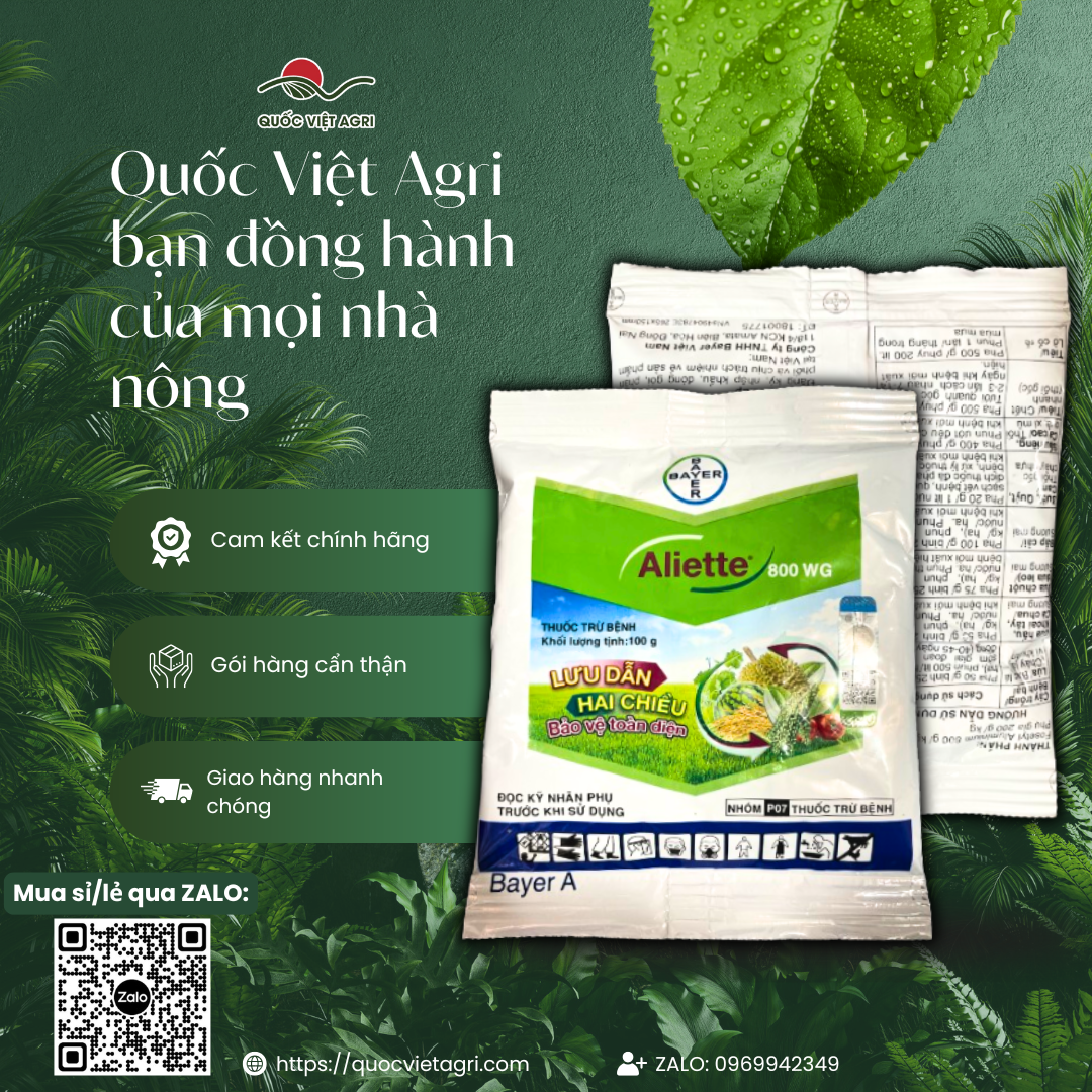 Thuốc trừ bệnh ALIETTE 800WG (gói 100g) - Fosetyl Aluminium 800g/kg Tác động lưu dẫn 2 chiều cho cây trồng phổ rộng