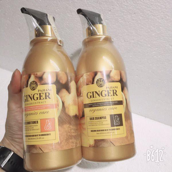 Ginger Shampoo and Conditioner
