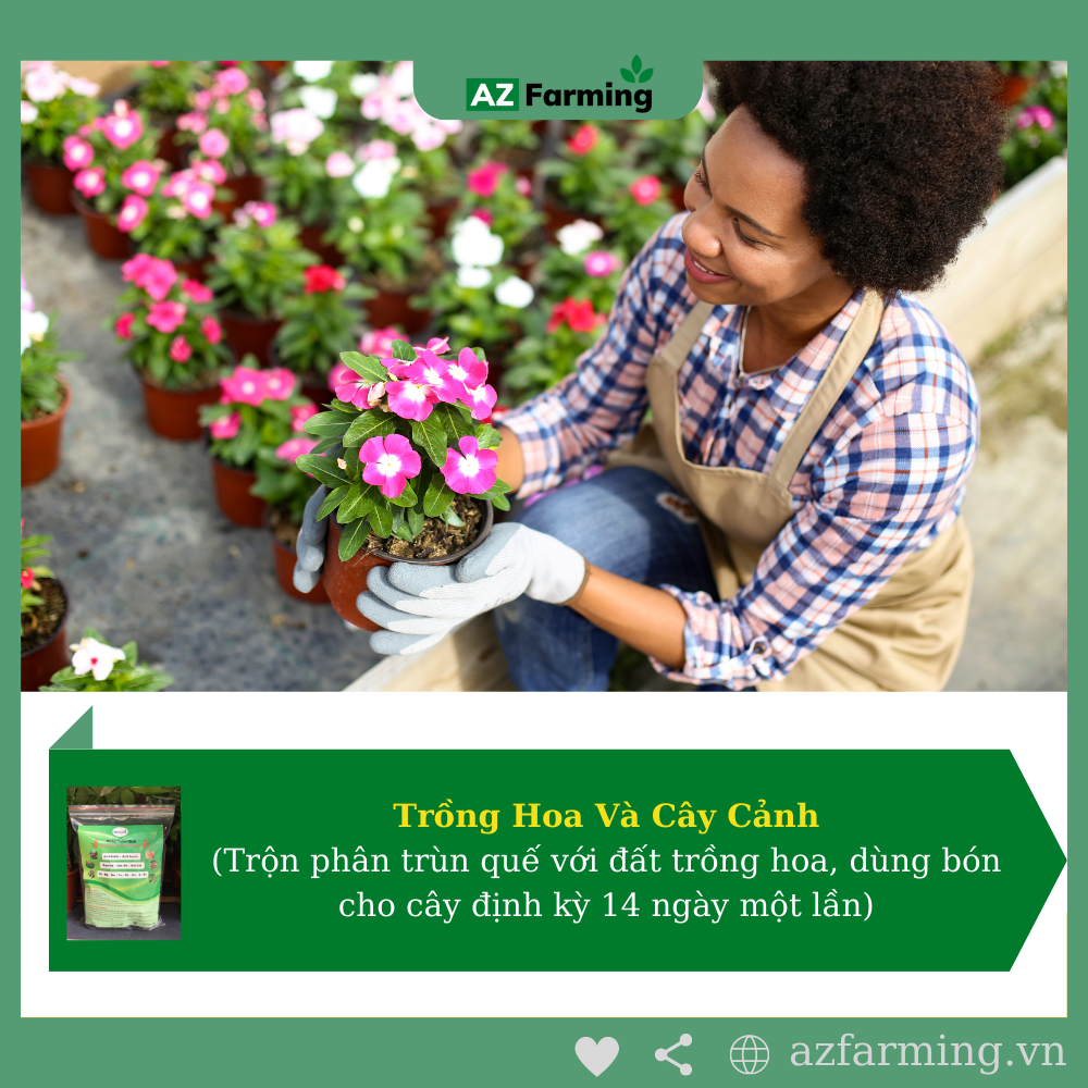 Phân Trùn Quế Hữu Cơ Bổ Sung Nấm Trichoderma - Gói 1kg - AZ Farming