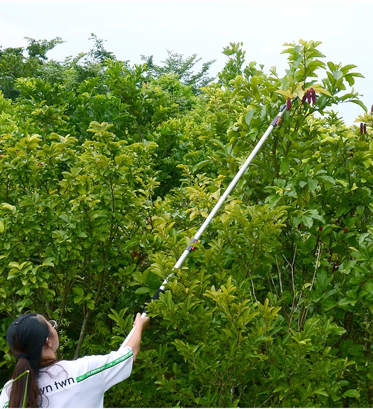 Kéo cắt cành trên cao